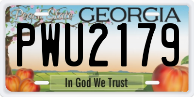GA license plate PWU2179