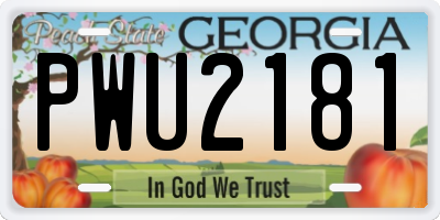 GA license plate PWU2181