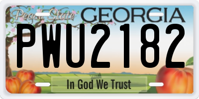 GA license plate PWU2182