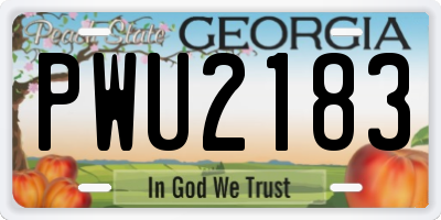 GA license plate PWU2183