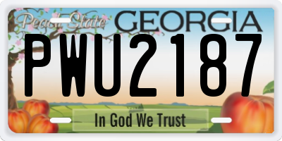 GA license plate PWU2187