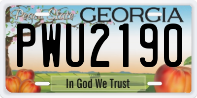 GA license plate PWU2190