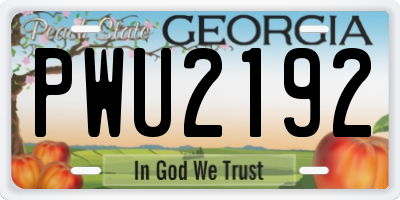 GA license plate PWU2192