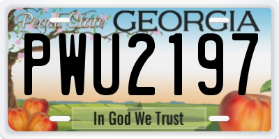 GA license plate PWU2197