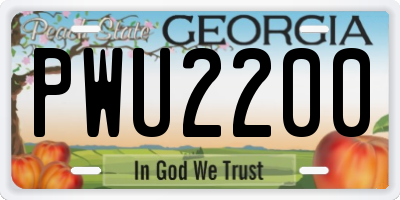 GA license plate PWU2200