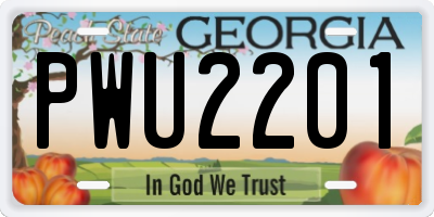 GA license plate PWU2201