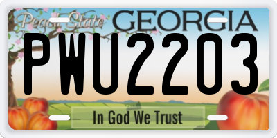 GA license plate PWU2203