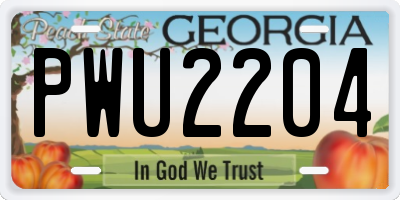 GA license plate PWU2204