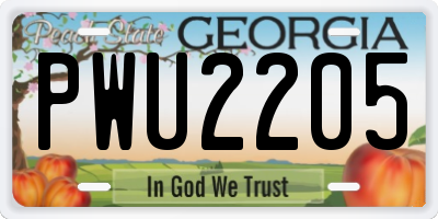 GA license plate PWU2205