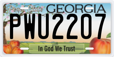 GA license plate PWU2207