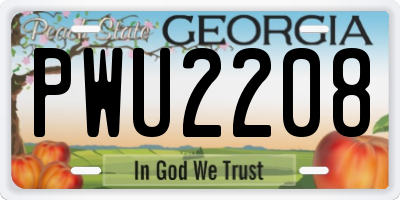 GA license plate PWU2208
