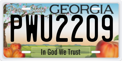 GA license plate PWU2209