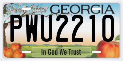 GA license plate PWU2210