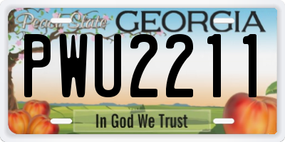 GA license plate PWU2211
