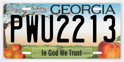 GA license plate PWU2213