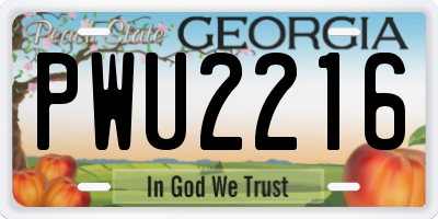 GA license plate PWU2216