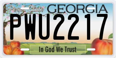 GA license plate PWU2217
