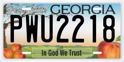 GA license plate PWU2218