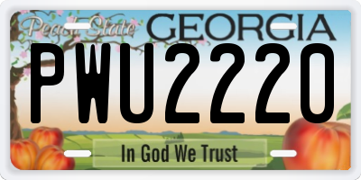 GA license plate PWU2220