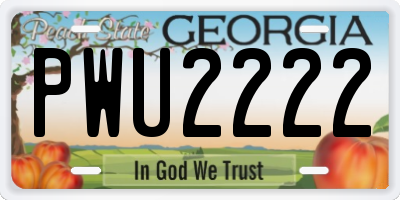 GA license plate PWU2222