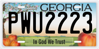 GA license plate PWU2223