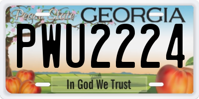 GA license plate PWU2224