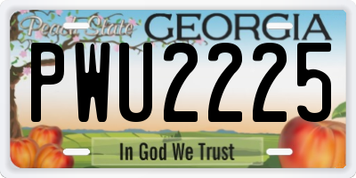 GA license plate PWU2225