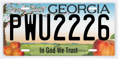 GA license plate PWU2226