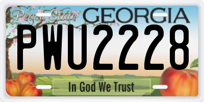 GA license plate PWU2228