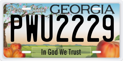 GA license plate PWU2229