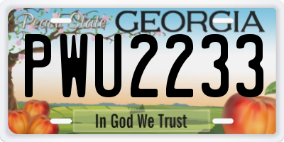 GA license plate PWU2233