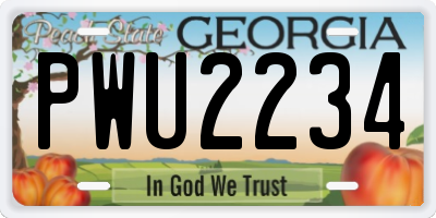 GA license plate PWU2234
