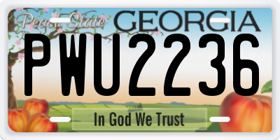 GA license plate PWU2236