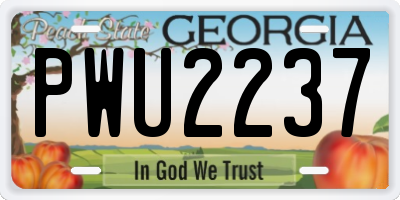 GA license plate PWU2237
