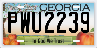 GA license plate PWU2239