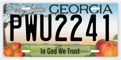 GA license plate PWU2241
