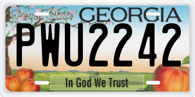 GA license plate PWU2242