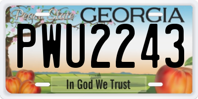 GA license plate PWU2243