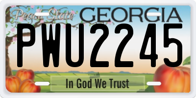 GA license plate PWU2245