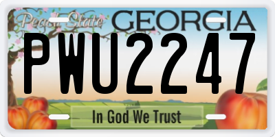 GA license plate PWU2247