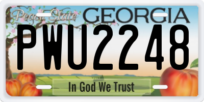 GA license plate PWU2248