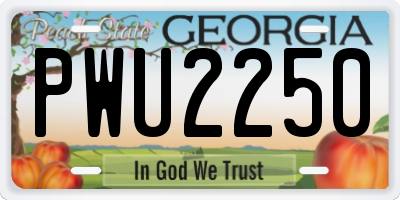 GA license plate PWU2250