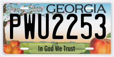 GA license plate PWU2253