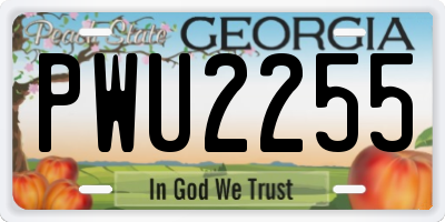 GA license plate PWU2255