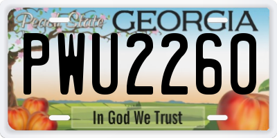 GA license plate PWU2260