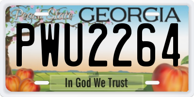 GA license plate PWU2264