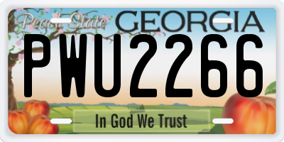 GA license plate PWU2266
