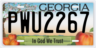 GA license plate PWU2267