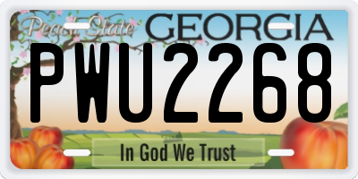GA license plate PWU2268