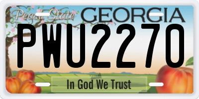 GA license plate PWU2270